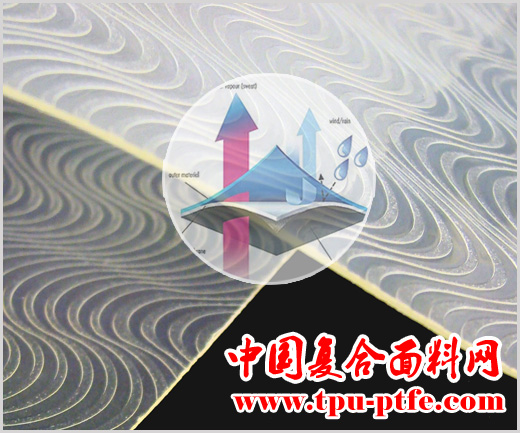  TPU和TPE的区別？