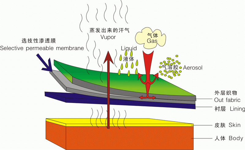 PTFE微孔薄膜的防水原理？