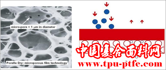 湿法微多孔涂层面料, 微多孔<strong>复合面</strong>料