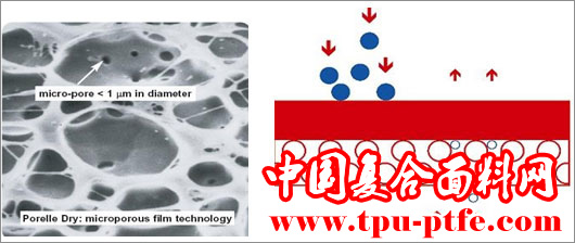 PU微多孔膜与PTFE膜性能比较