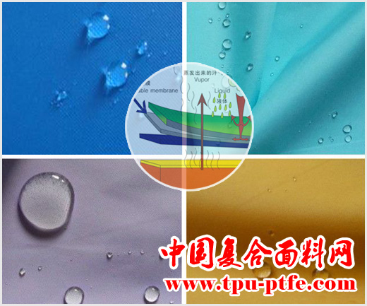 潜水服知识介绍