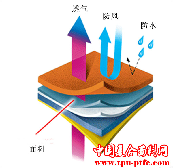 PTFE<strong>复合面料</strong>详细介绍