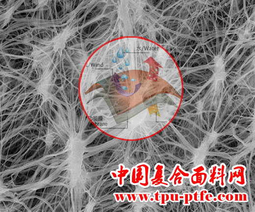 PTFE微孔薄膜