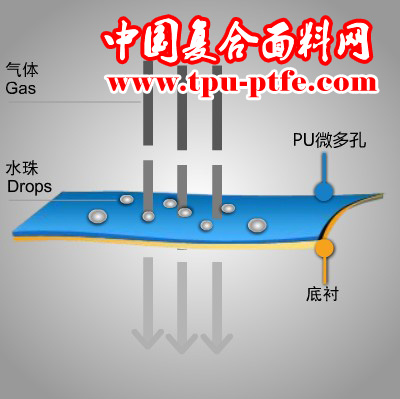  无孔防水透湿薄膜TPE复合（环保无毒）