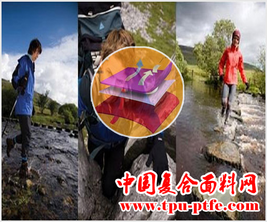  教你如何认识“TPU复合面料”
