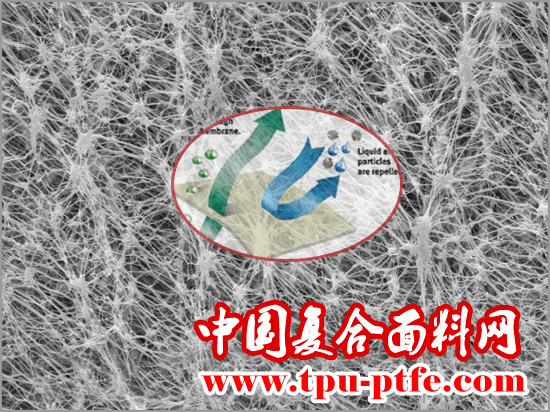 什么是ePTFE膜?ePTFE膜的作用和用途?ePTFE膜复合的原理