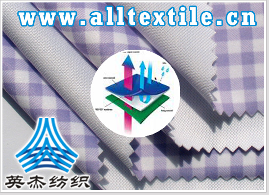  PTFE<strong>复合面</strong>料-羽绒服专业面料 