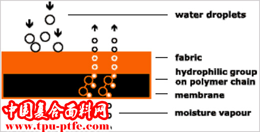 什么是porelle面料? porelle面料原理？porelle面料的作用和用途