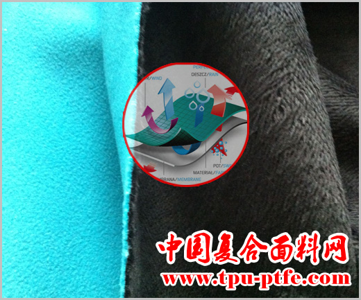 服装<strong>复合</strong>TPU/海绵面料大全