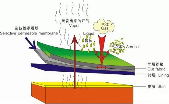 涨知识丨PUR胶在<strong>复合</strong>面料和电子产品中的应用