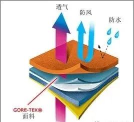  影响<strong>复合面</strong>料织物透气透湿性的因素